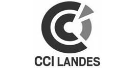 CCI des Landes réalisation du site internet mobile
