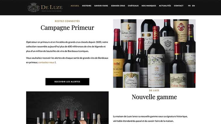 De Luze réalisation du site internet et webdesign